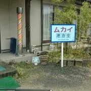 ちはザエル