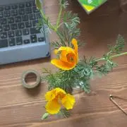 mieeeetanの画像