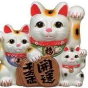にゃんこ先生の画像