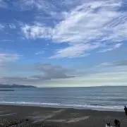 ますみの画像
