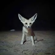ゆるりの画像