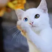 ららら＊自己紹介文ご確認くださいの画像