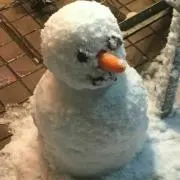 ひな