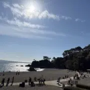 おあちりすの画像