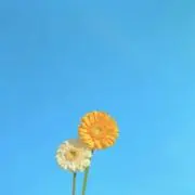 2mamaの画像
