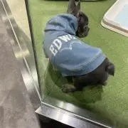まる