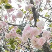 knちゃん⭐︎の画像