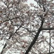 ★みちゃん★