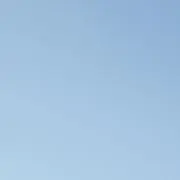 かの画像