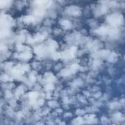 ゆき❄️の画像