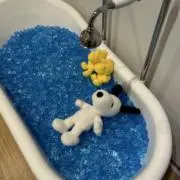 ネコ