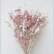 e*naの画像
