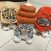 ひよこの画像