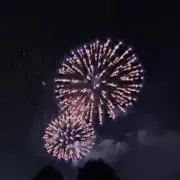 こばやしの画像