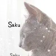 Sakuの画像