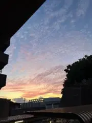 あおの画像