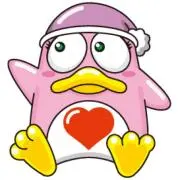 ドン子ちゃんの画像