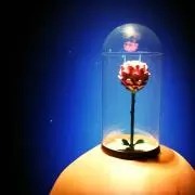りりの画像