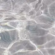 ぴーの画像