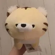 クマノミ◎即購入歓迎ですの画像