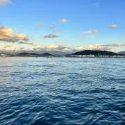ゆーの画像