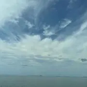 ぷくの画像
