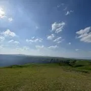 moriの画像