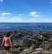 Dの画像