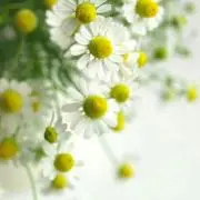 yurisyanの画像