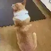 こはプロフ必読の画像