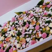 こじまる☆の画像