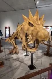 たいけん