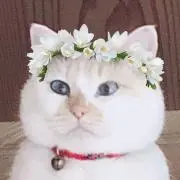 こま&まこ