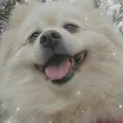 mi−yuの画像