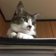 うみ