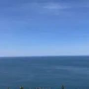 ともの画像