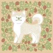かすたどん　〜断捨離中！〜の画像