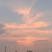 かずの画像
