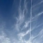 ( ᐢ_  ̫ _ᐢ )の画像