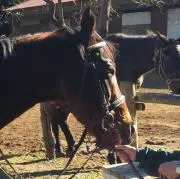 Daisukeの画像