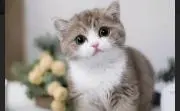 K☆プロフ必読の画像