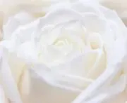 みかみの画像