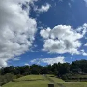 お値下げコメントどうぞ。コナツの画像