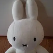 Minmi
