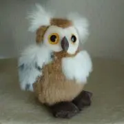 KOUの画像