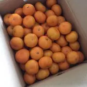みかん
