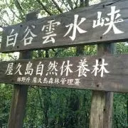 ゆうあの画像