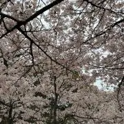 おとの画像