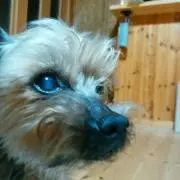 ジュニア
