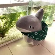 Re:oの画像